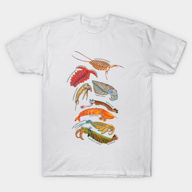 Anomalocaris T-Shirt by NocturnalSea